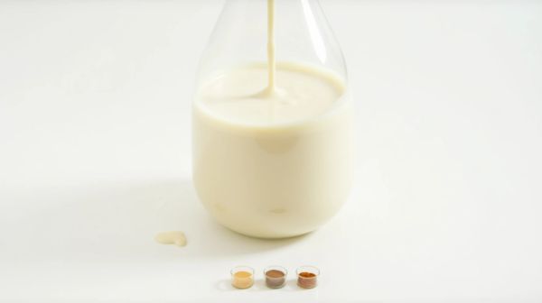 Whey concentrée, isolat, native : les différences